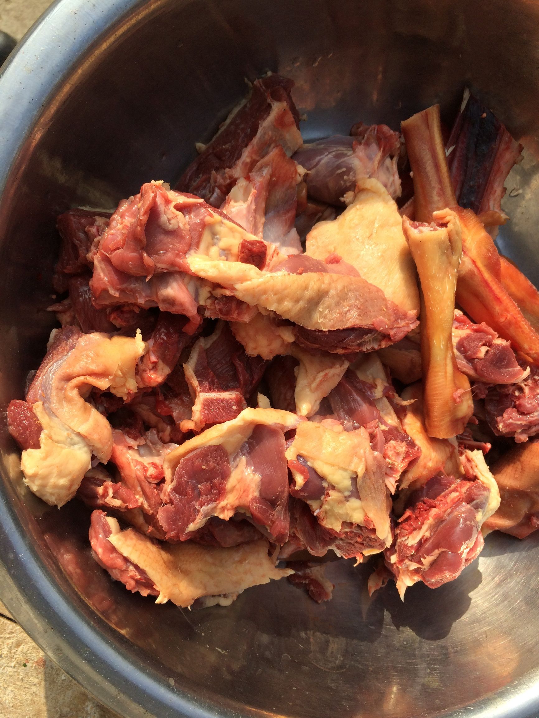 东北农村杀大鹅,农村里杀大鹅