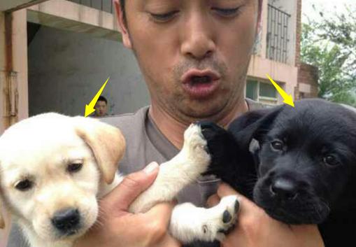 春节到了,没有住在原来的地方,我感觉我好像是个假的客家人