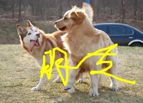 春节到了,没有住在原来的地方,我感觉我好像是个假的客家人