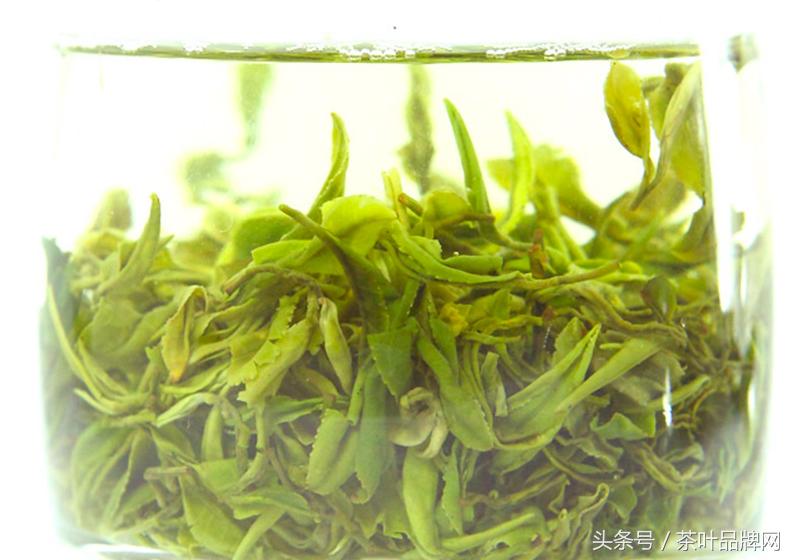 什么茶叶胃不好的人可以喝,胃不好喝茶有讲究这三种茶不能喝