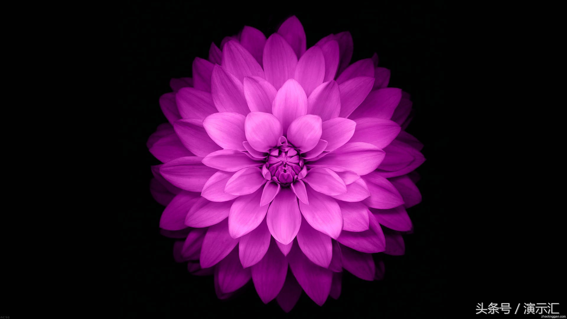 简单易懂的图片处理,图片处理100个技巧