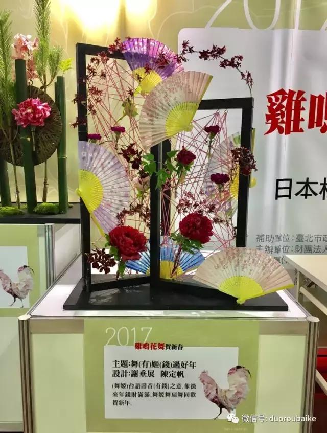 春节花市的鲜花,春节能看花的植物