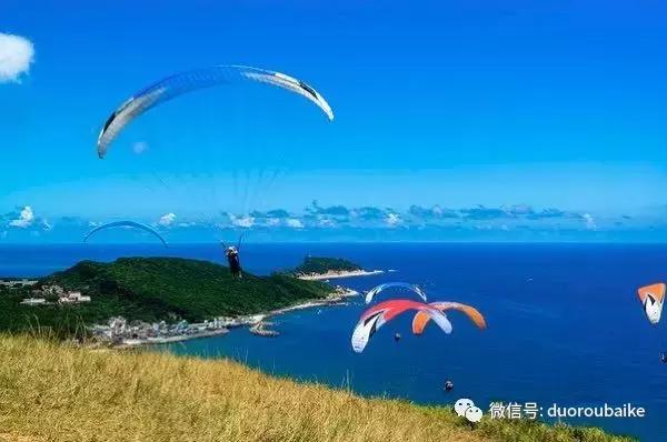 春节花市的鲜花,春节能看花的植物