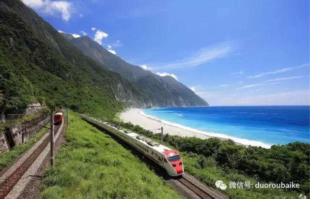 春节花市的鲜花,春节能看花的植物