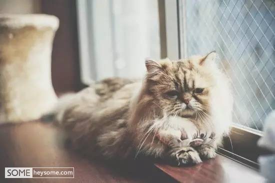 有品味的单车,便宜又好骑的自行车推荐