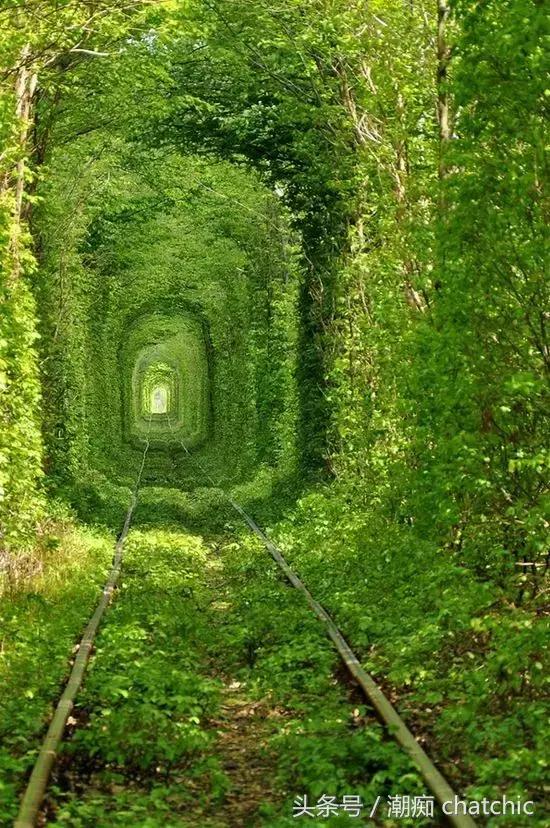 壁纸控喜欢的小清新,壁纸控原神篇