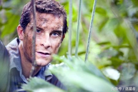 贝爷吃过多少虫子,贝爷吃过的奇怪玩意儿