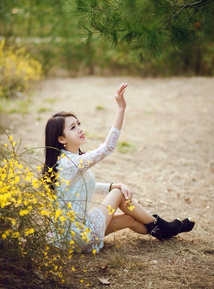 《本草》植物志之迎春花：大禹的眼泪化作的报春信使