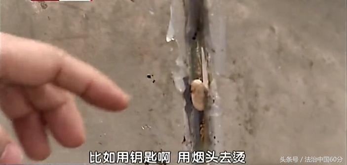 男子逃票误入虎园被老虎咬死,游客逃票误入虎园遭老虎围攻咬死