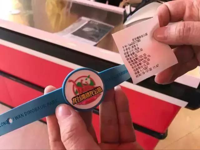 扶绥龙谷湾恐龙公园怎么样,扶绥龙谷湾恐龙公园项目