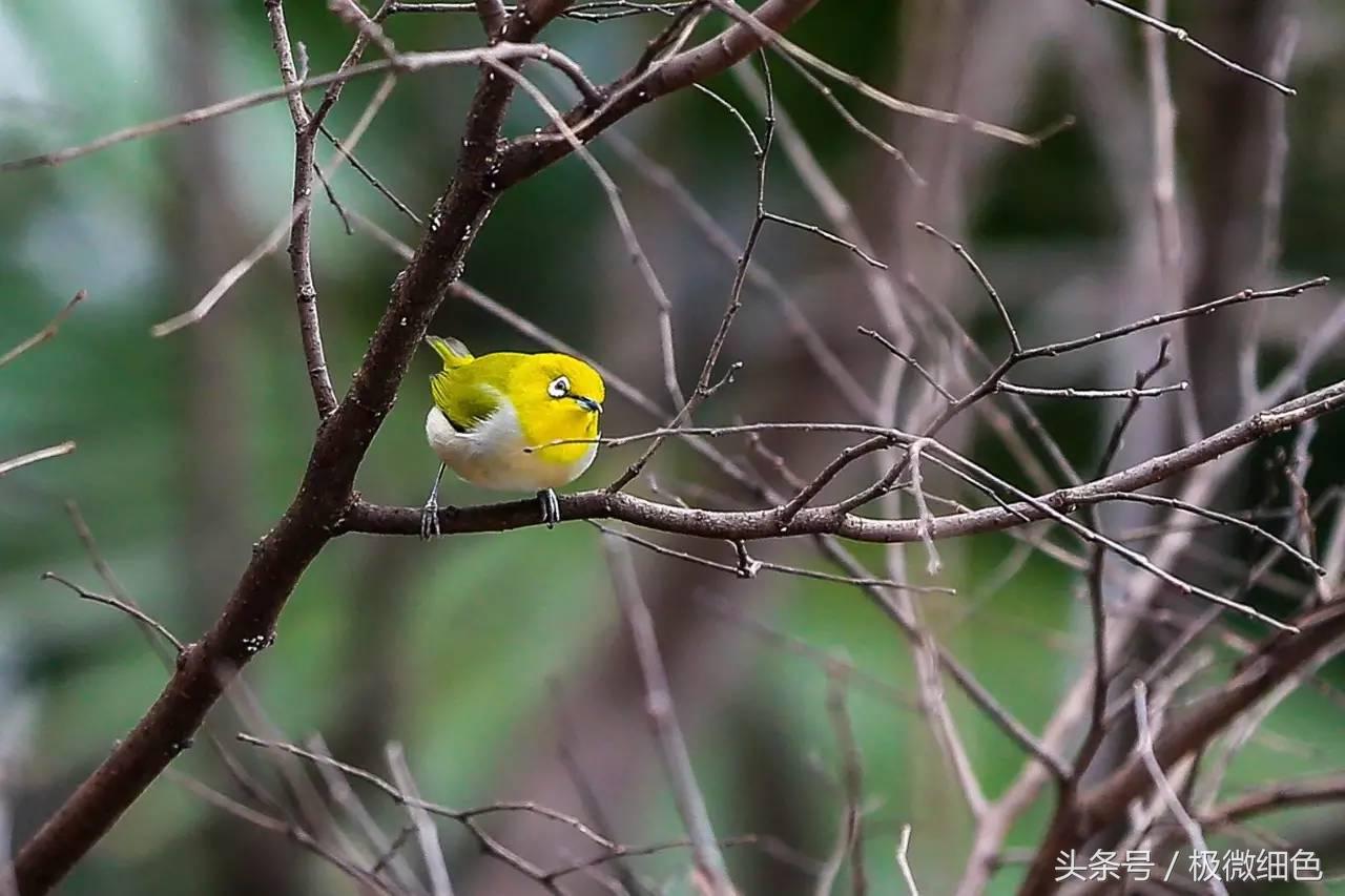 微信群发拜年祝福语怎么发,微信拜年群发