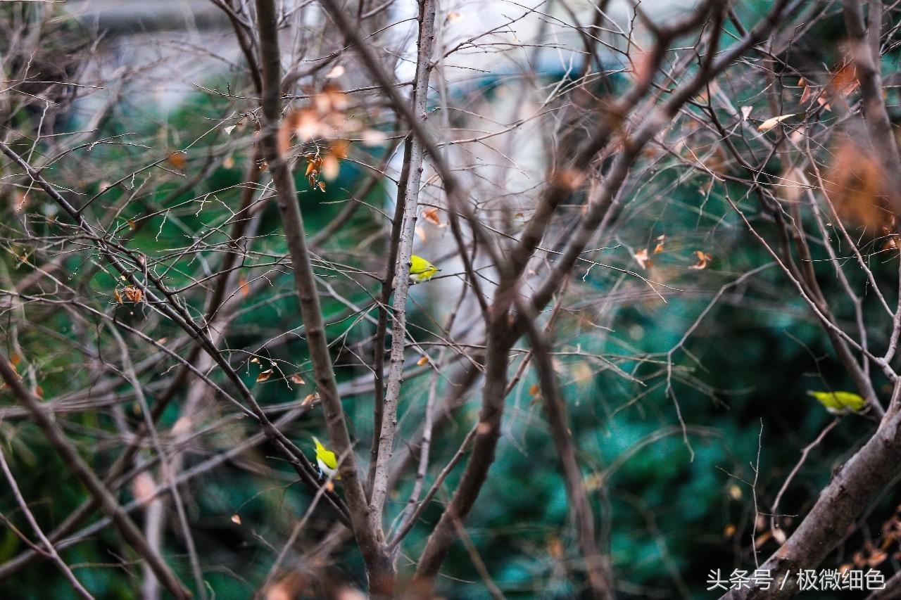 微信群发拜年祝福语怎么发,微信拜年群发