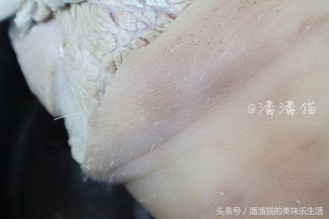 猫家2017年新年联欢晚饭实况报道