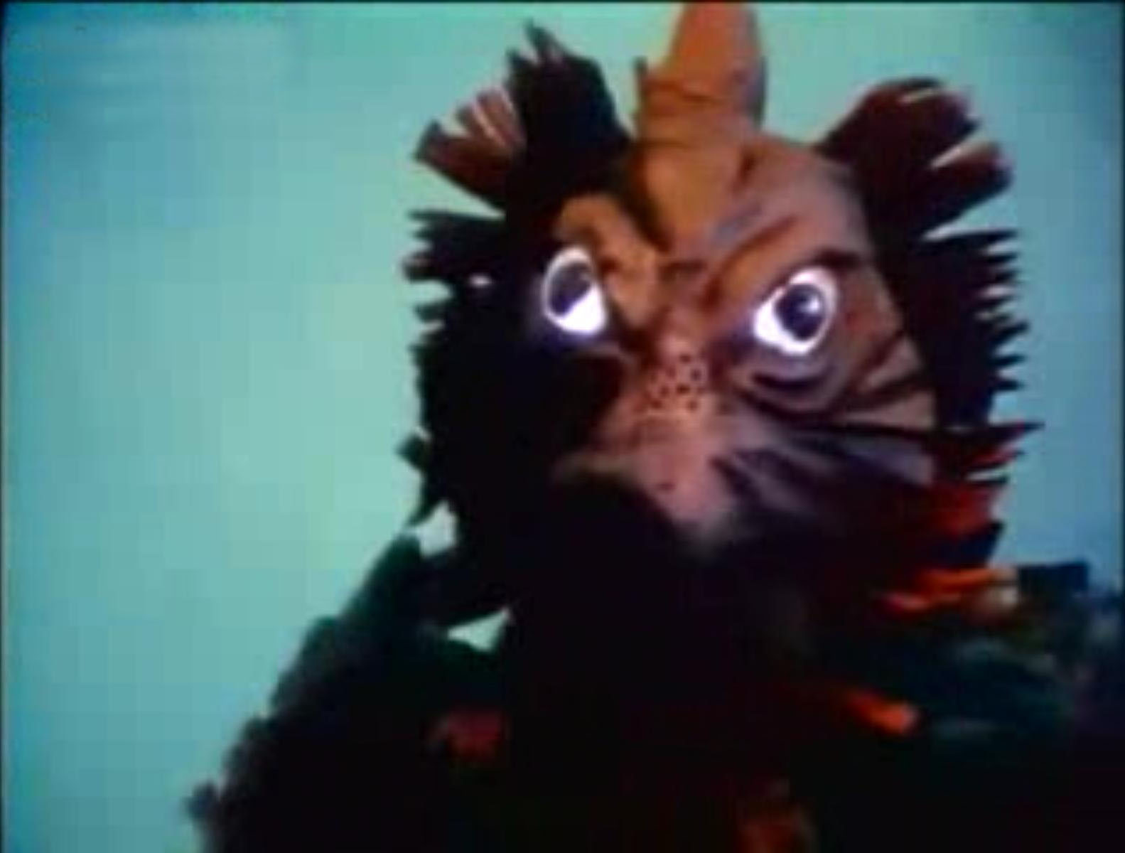 归来的奥特战士杰克奥特曼,杰克奥特曼归来