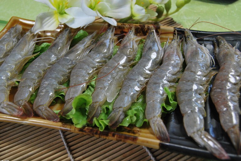 秦皇岛海鲜吃到爽,秦皇岛海港区吃海鲜靠谱便宜