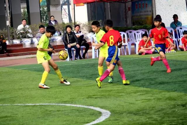 厦门青训足球联赛直播,青训厦门