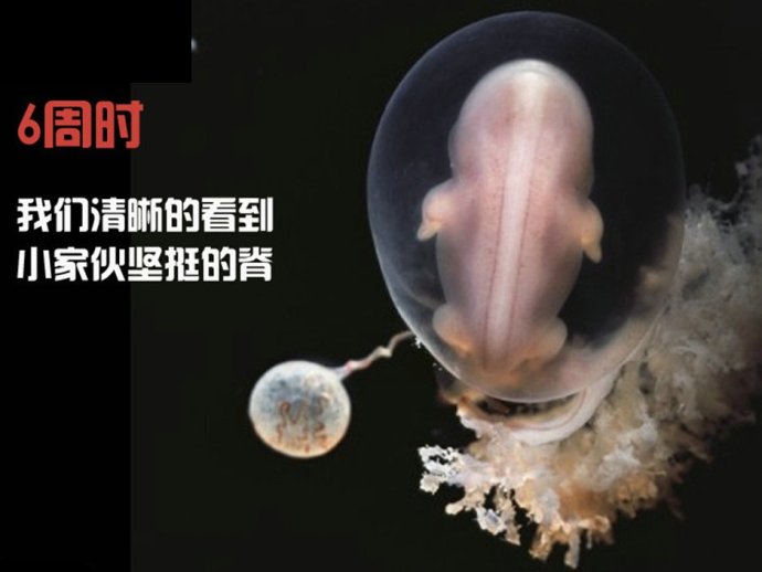 协和医生张羽现状,协和张羽最新视频