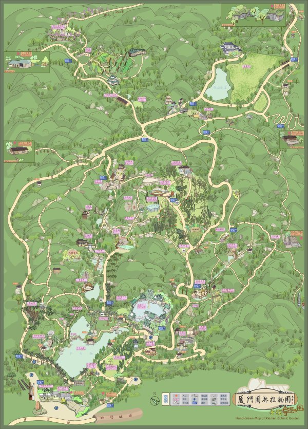 盆栽国色天香,国色天香立春