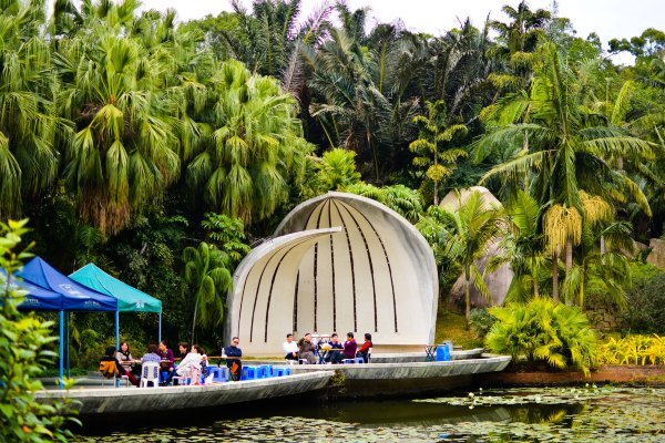 盆栽国色天香,国色天香立春