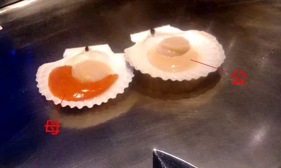 秦皇岛海鲜吃到爽,秦皇岛海港区吃海鲜靠谱便宜