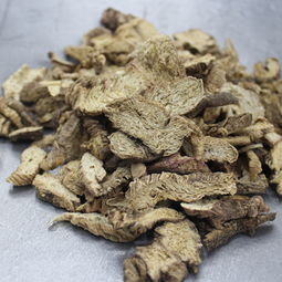 参有哪些种类各有啥不同,常见参的种类及图片