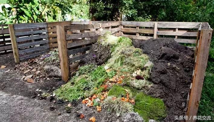 用菜叶和树叶哪个堆肥好,树叶和菜叶哪个做堆肥更好