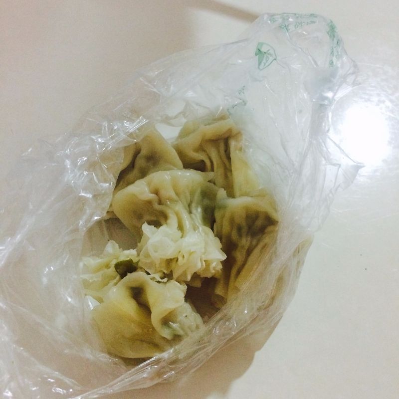 成都到乐山最佳方案,成都到乐山全攻略