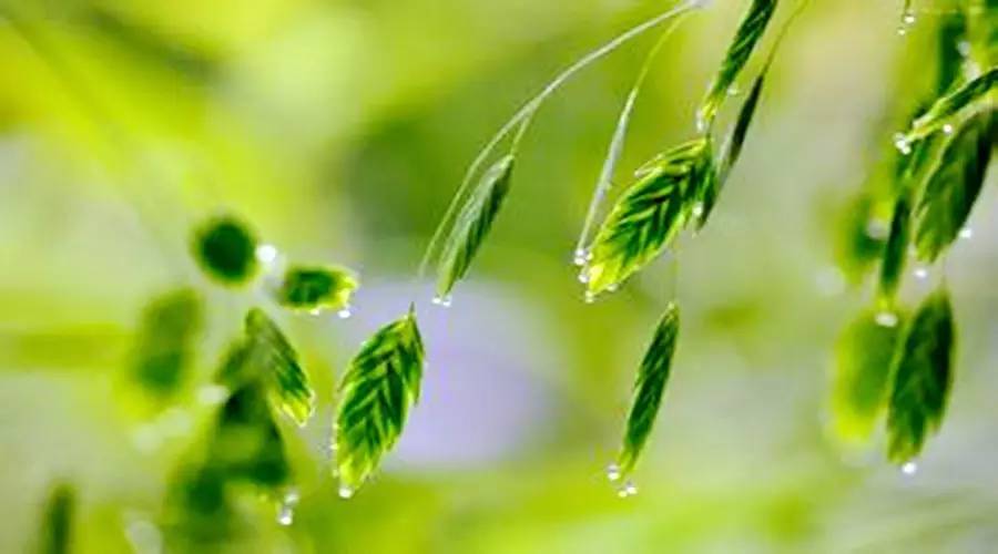 五险一金对比六险两金,七险一金比五险一金好多少