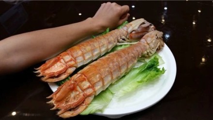 皮皮虾为什么要叫皮皮虾,皮皮虾是一个什么样的存在