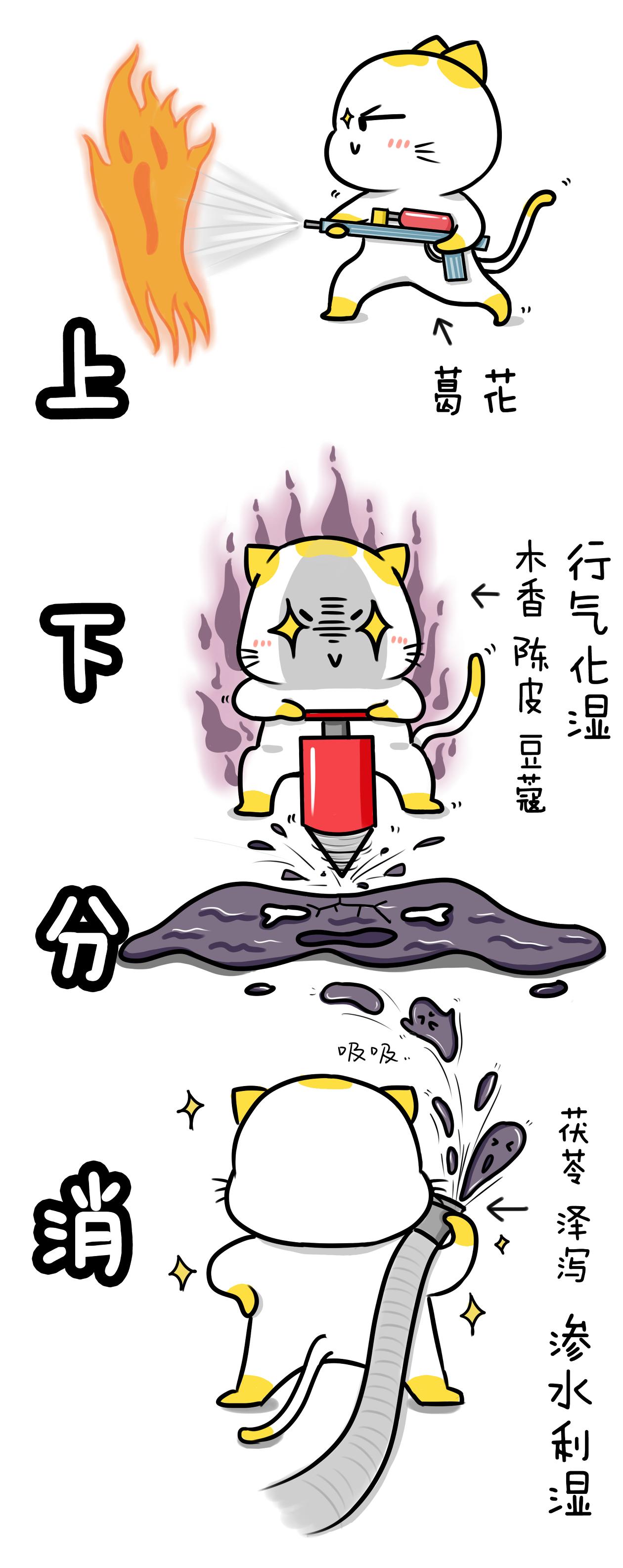 苏叶猫漫画中医：中药解酒法