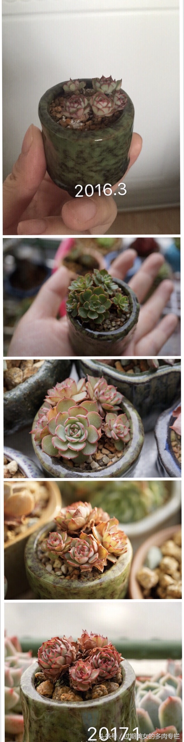 最爱对比图！对比后更惊艳！