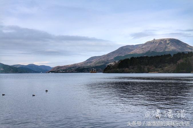 箱根草津温泉旅游攻略,日本箱根特色温泉
