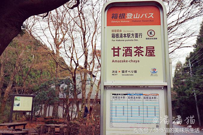 箱根草津温泉旅游攻略,日本箱根特色温泉