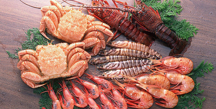 纹眉女子,女子纹眉纹鼻影