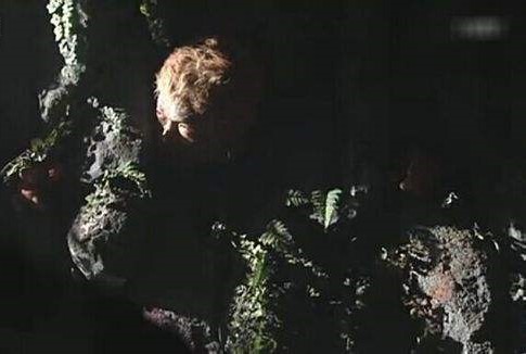 妖王孙悟空有多强,妖王孙悟空战胜妖王