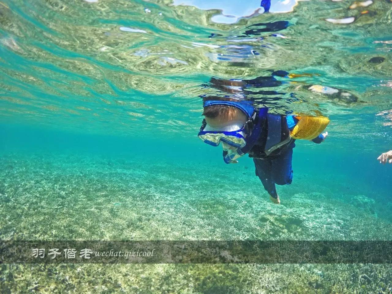 印尼美娜多旅游潜水攻略,印尼美娜多潜水圣地