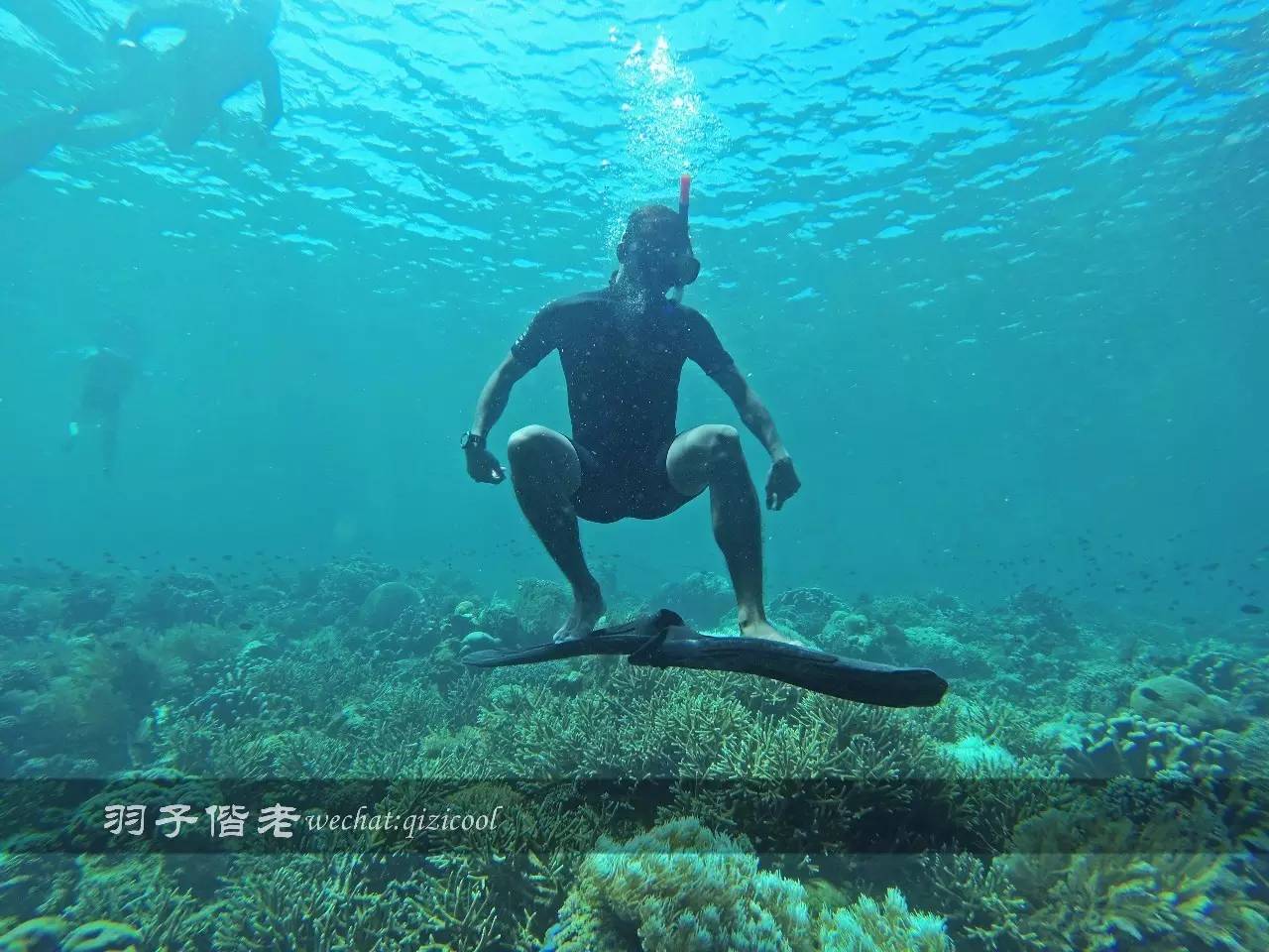 印尼美娜多旅游潜水攻略,印尼美娜多潜水圣地