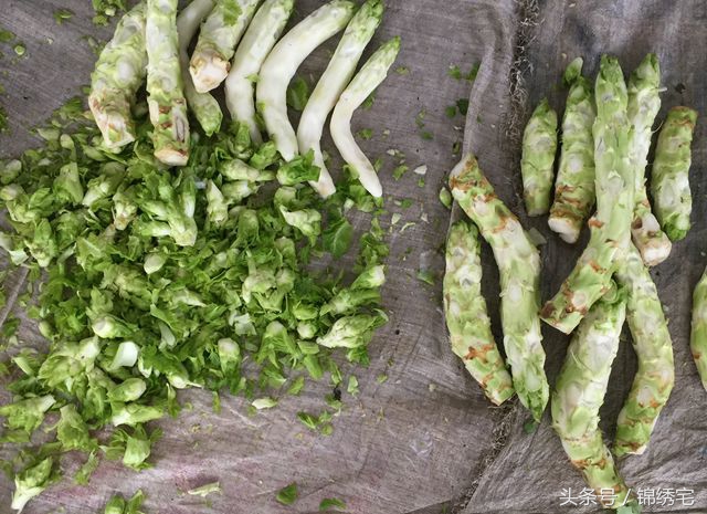 在北方不容易买到的时令蔬菜,这些特色蔬菜你见过吗
