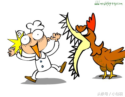 我妈不敢杀鸡,每次都是拿根绳子让鸡上吊