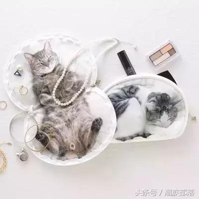 猫控保健,猫控送什么礼物