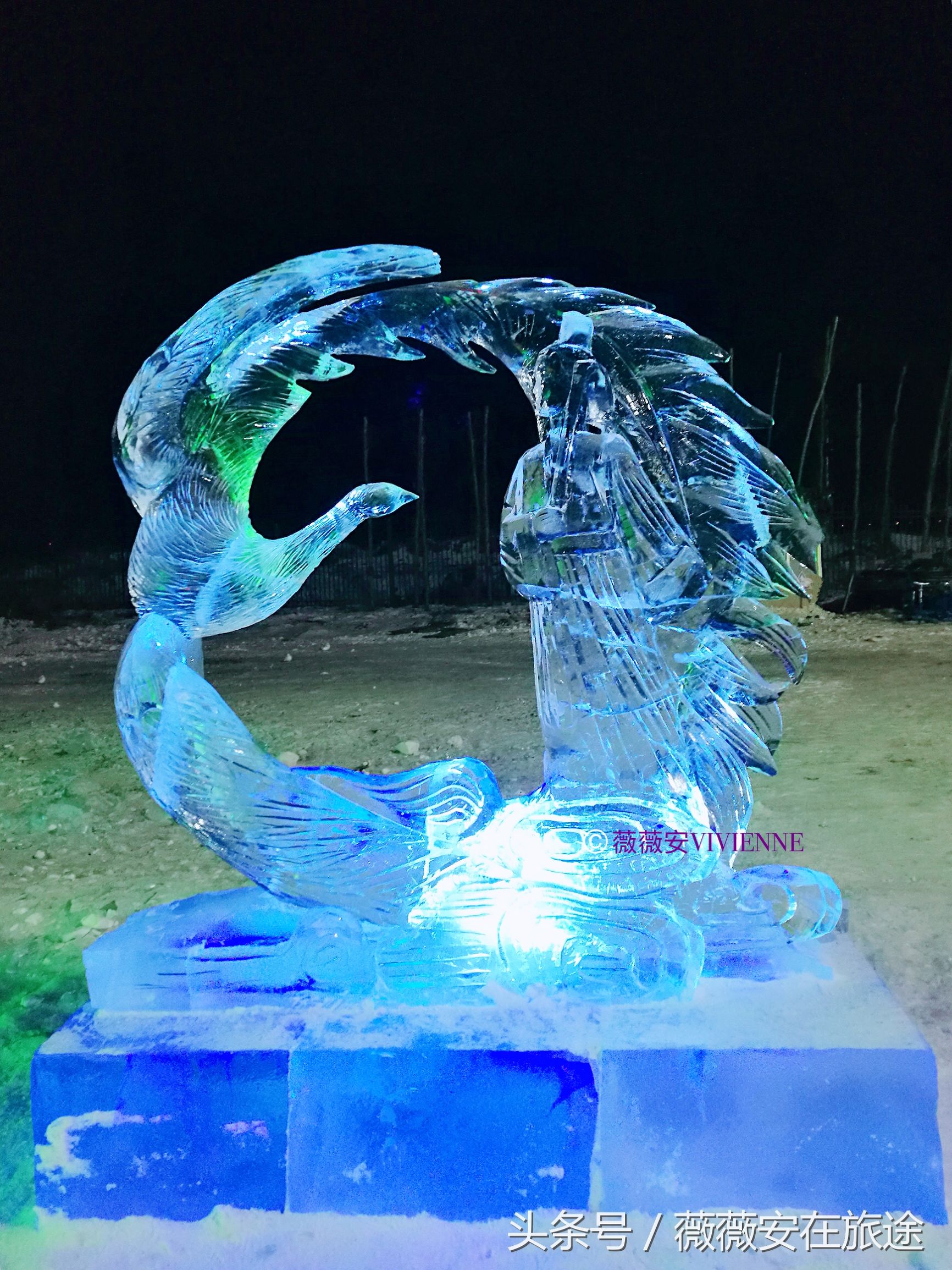 北国冰城之旅,奔赴冰城哈尔滨感受北国浪漫