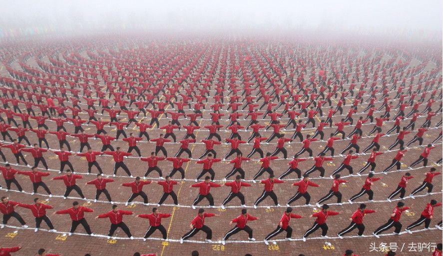 最好的少林武术,少林武术绝技大全视频