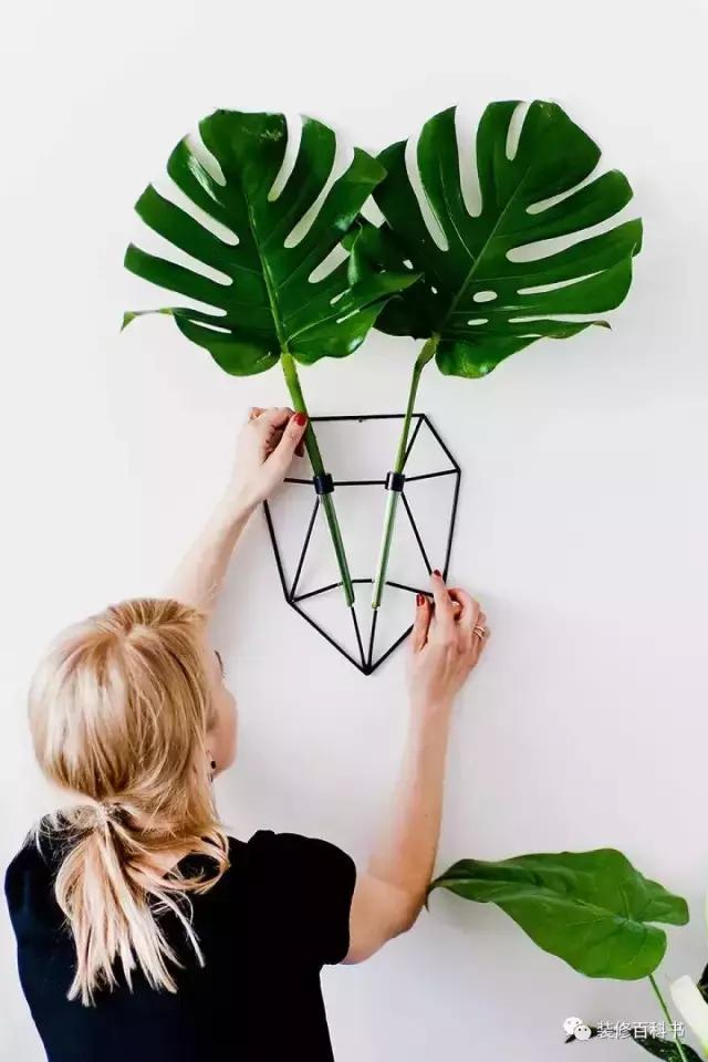 瀹ゅ唴鍒涙剰缁挎,瀹ゅ唴缁挎鏅閫犲瀷璁捐