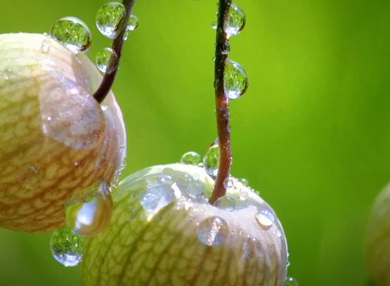 顶级hdmi品牌,高品质hdmi线