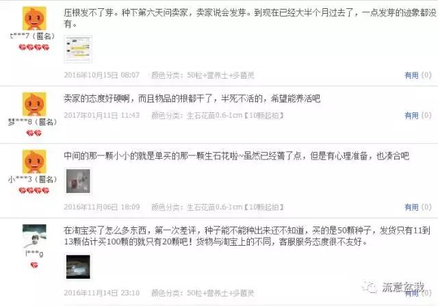 网购多肉种子,怎么判断多肉种子的真假