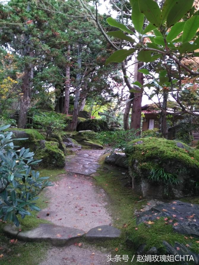 此由志园，非彼幼稚园