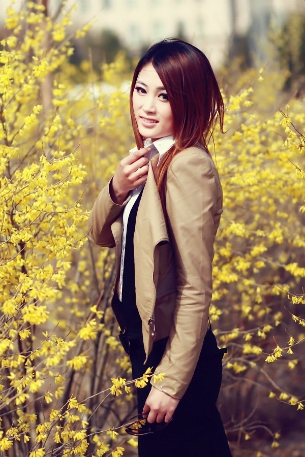 《本草》植物志之迎春花：大禹的眼泪化作的报春信使