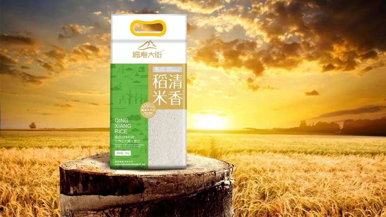 北京西林设计,北京感恩有你公司