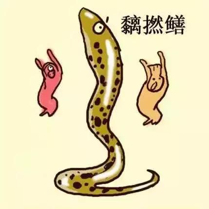 犀飞利!广州人都膜拜的珠江边13大神兽,只有我哋大广州独有!