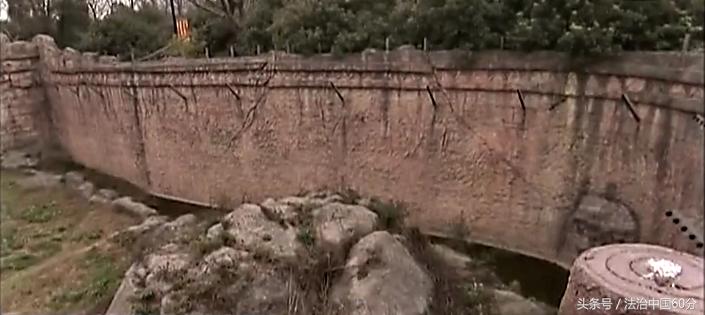 男子逃票误入虎园被老虎咬死,游客逃票误入虎园遭老虎围攻咬死